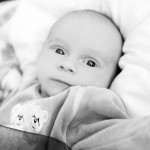 Babyshooting vor Ort zu Hause in Berlin Brandenburg Fotografin Malag